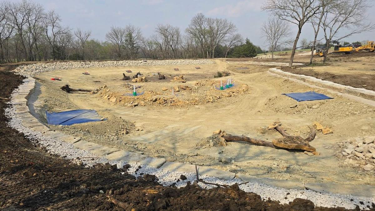 Premium Natural Tan limestone project